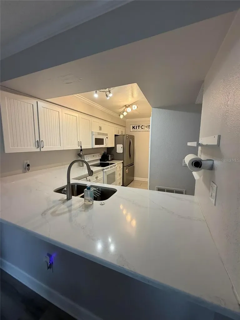3024 Bonaventure Circle Palm Harbor FL 34684