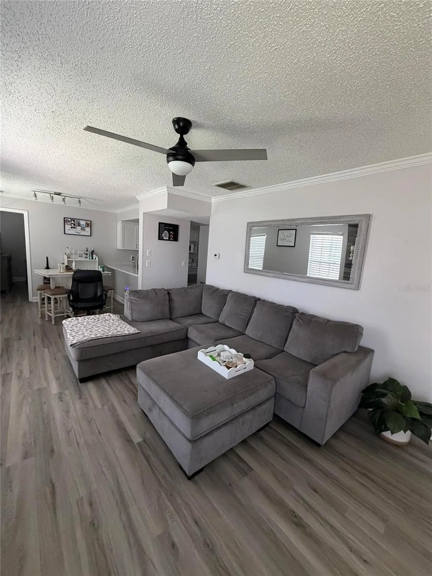 3024 Bonaventure Circle Palm Harbor FL 34684