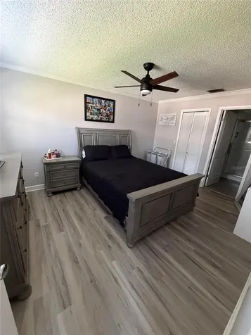 3024 Bonaventure Circle Palm Harbor FL 34684