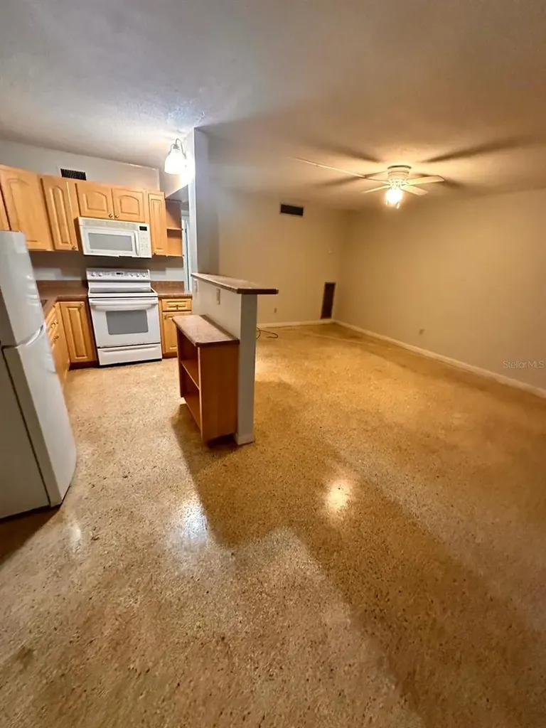 305 E Dakin Avenue Kissimmee FL 34741