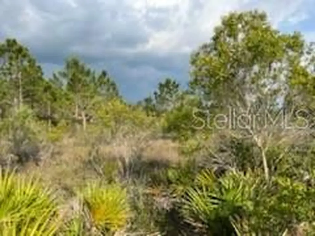 50530 Bermont Road Punta Gorda FL 33982