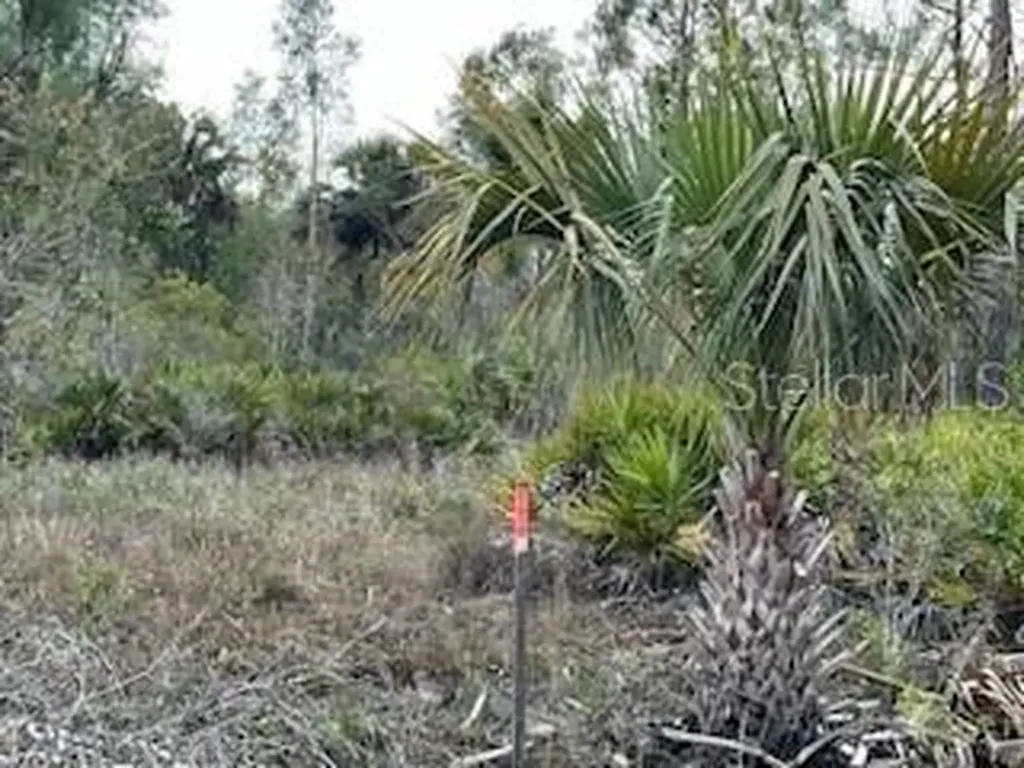50530 Bermont Road Punta Gorda FL 33982