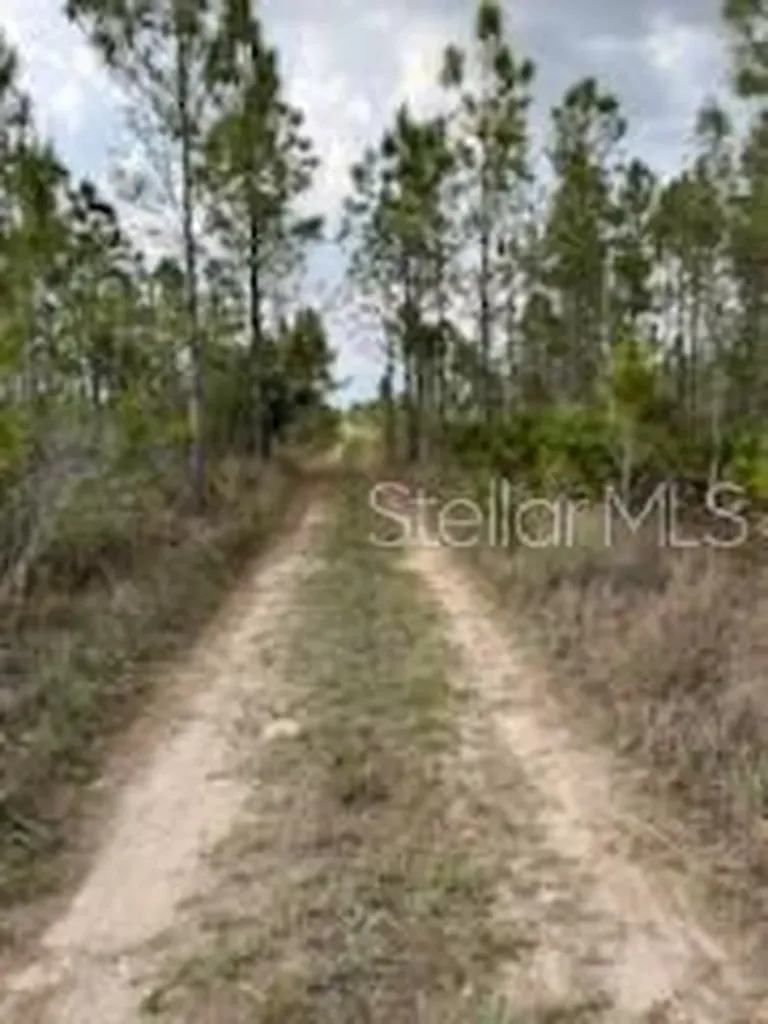 50530 Bermont Road Punta Gorda FL 33982