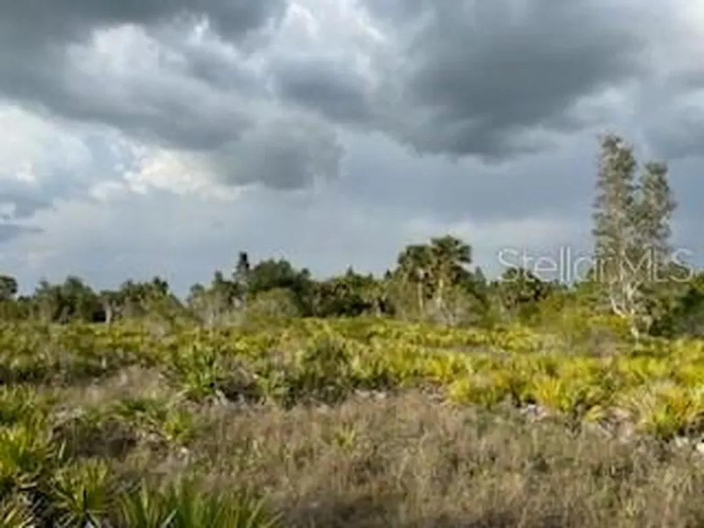 50530 Bermont Road Punta Gorda FL 33982