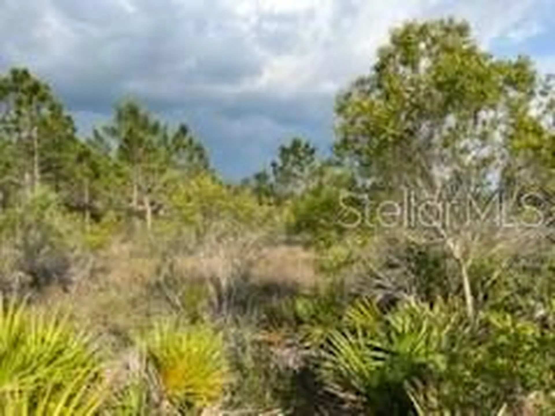 50530 Bermont Road Punta Gorda FL 33982