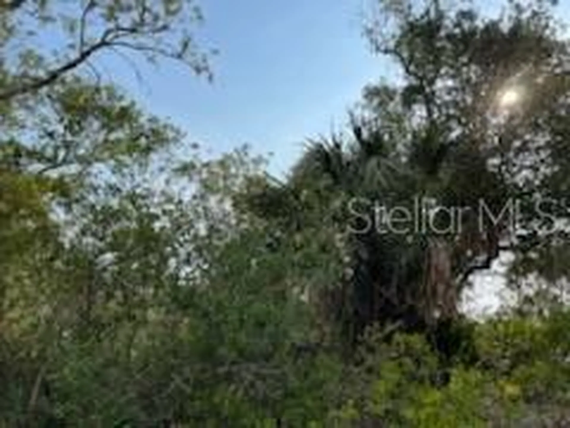 50530 Bermont Road Punta Gorda FL 33982
