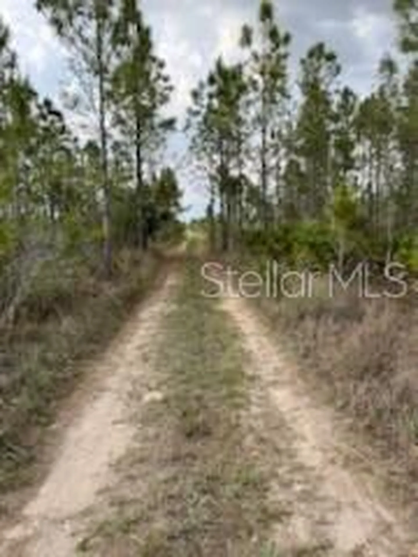 50530 Bermont Road Punta Gorda FL 33982