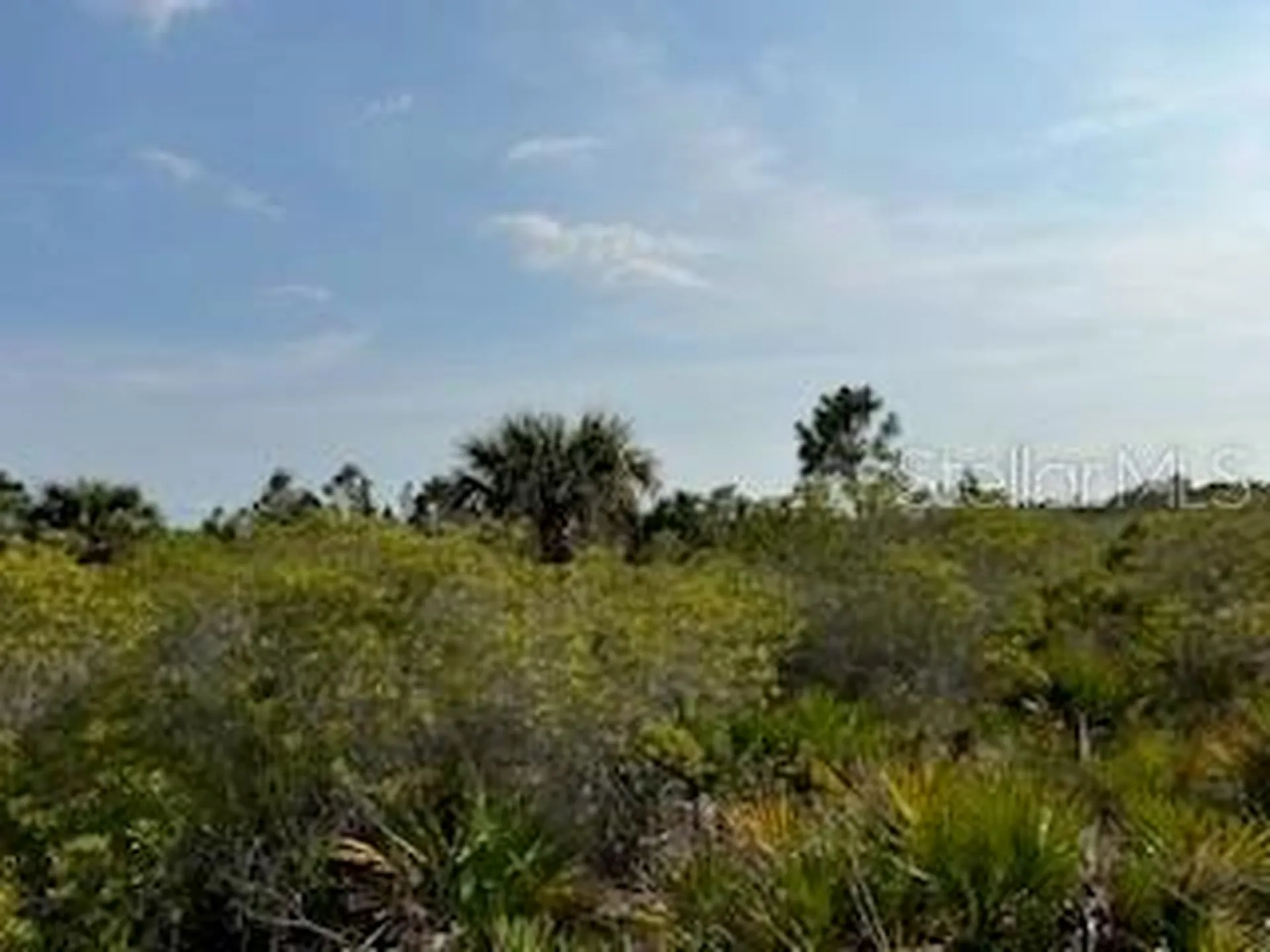 50530 Bermont Road Punta Gorda FL 33982