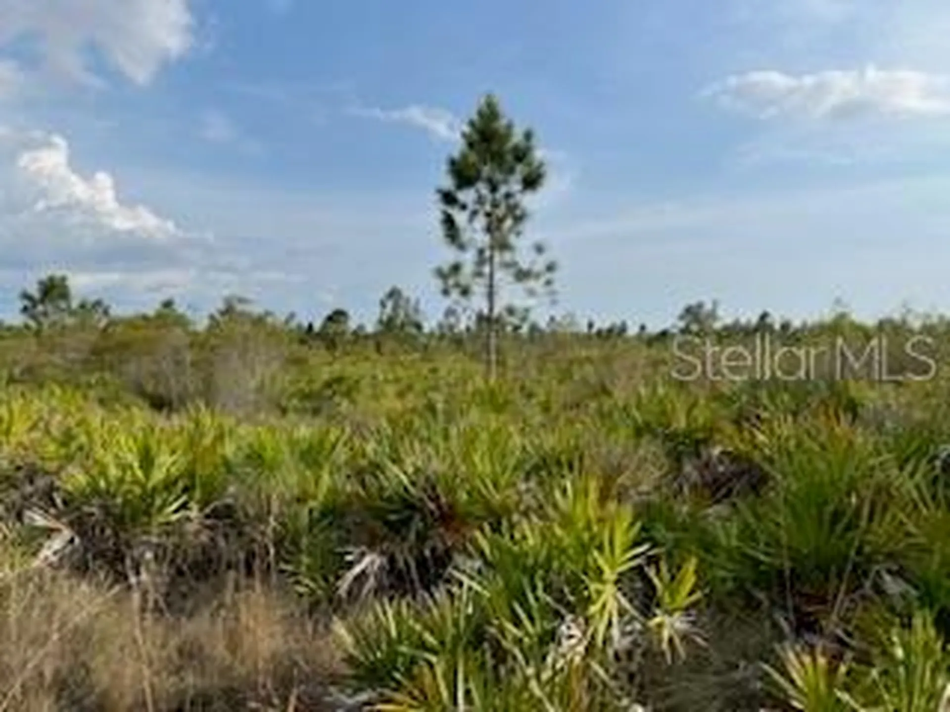 50530 Bermont Road Punta Gorda FL 33982