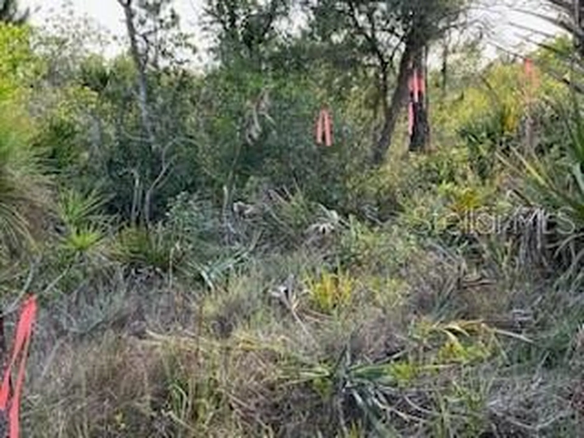 50530 Bermont Road Punta Gorda FL 33982