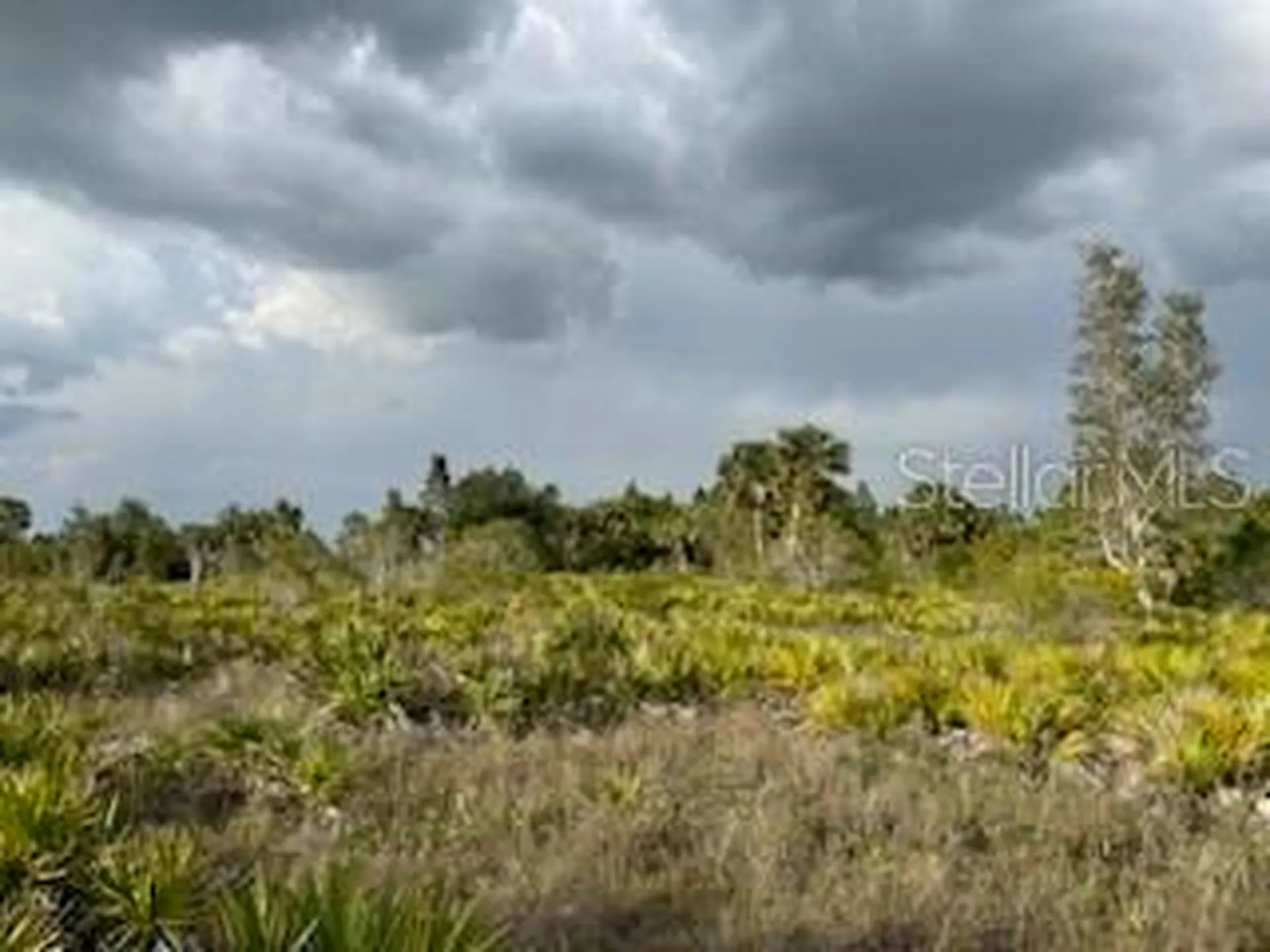 50530 Bermont Road Punta Gorda FL 33982