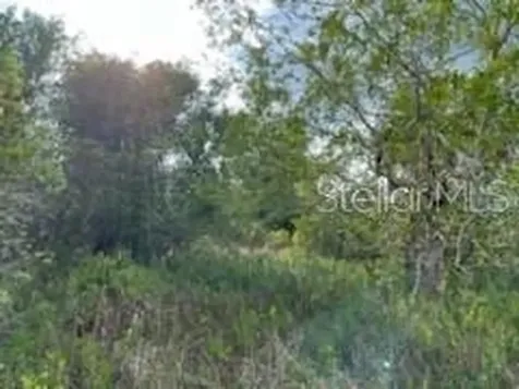50530 Bermont Road Punta Gorda FL 33982