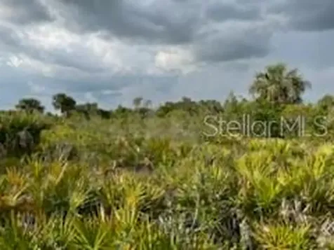 50530 Bermont Road Punta Gorda FL 33982