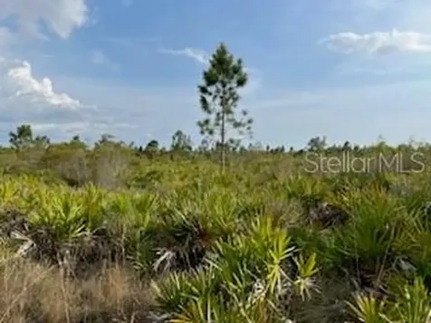 50530 Bermont Road Punta Gorda FL 33982