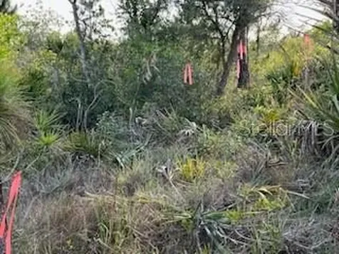 50530 Bermont Road Punta Gorda FL 33982