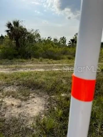 50530 Bermont Road Punta Gorda FL 33982