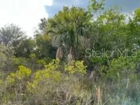 50530 Bermont Road Punta Gorda FL 33982
