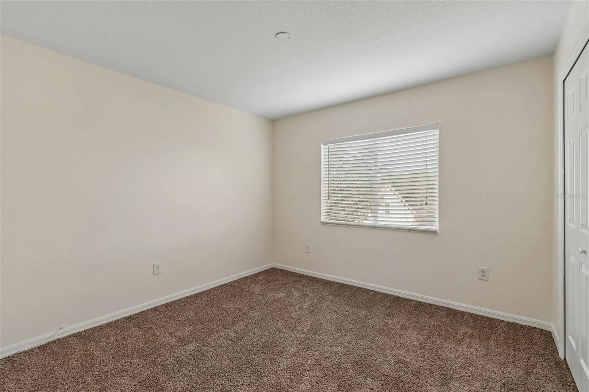 3307 Pine Top Drive Valrico FL 33594