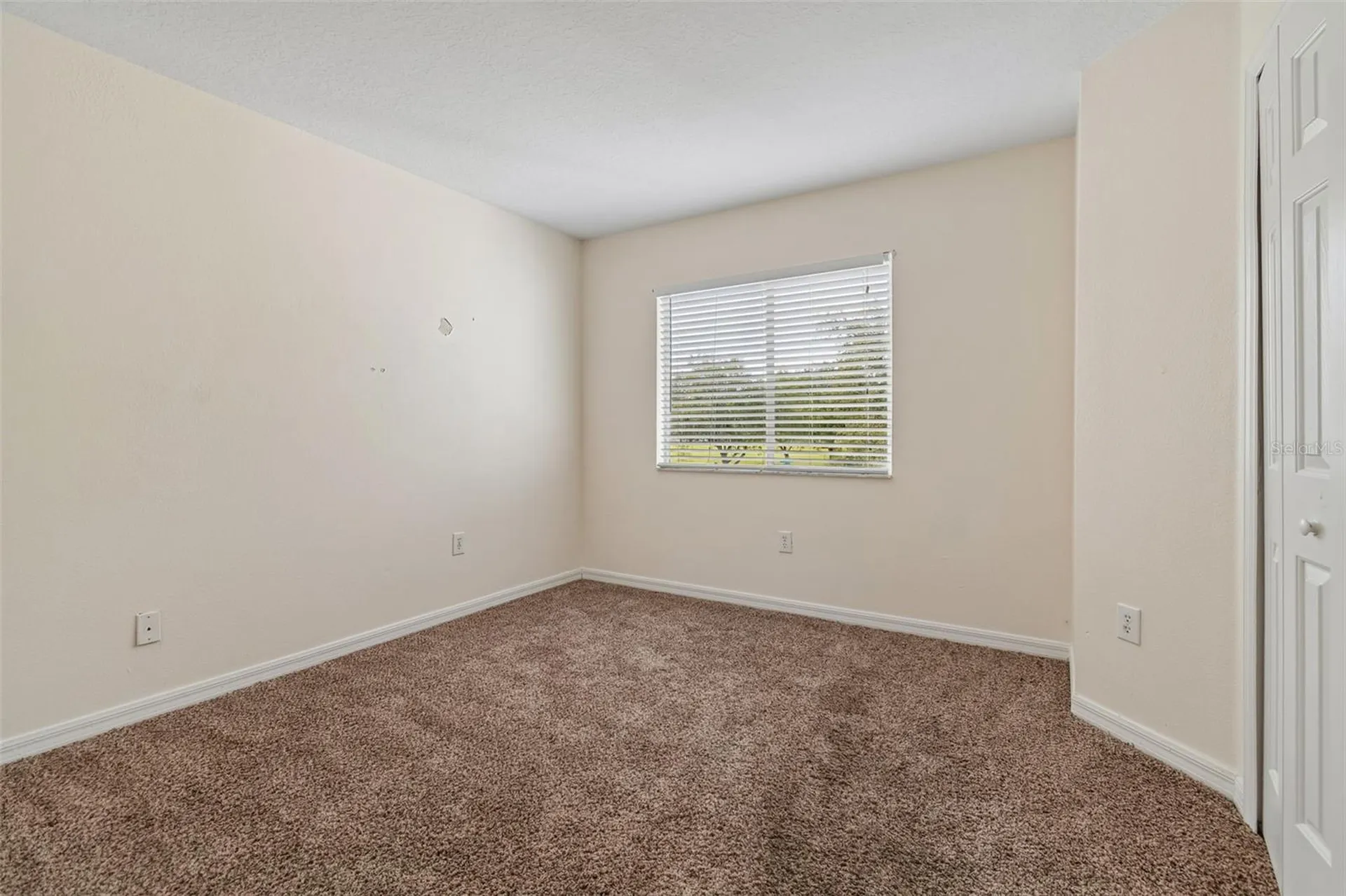 3307 Pine Top Drive Valrico FL 33594