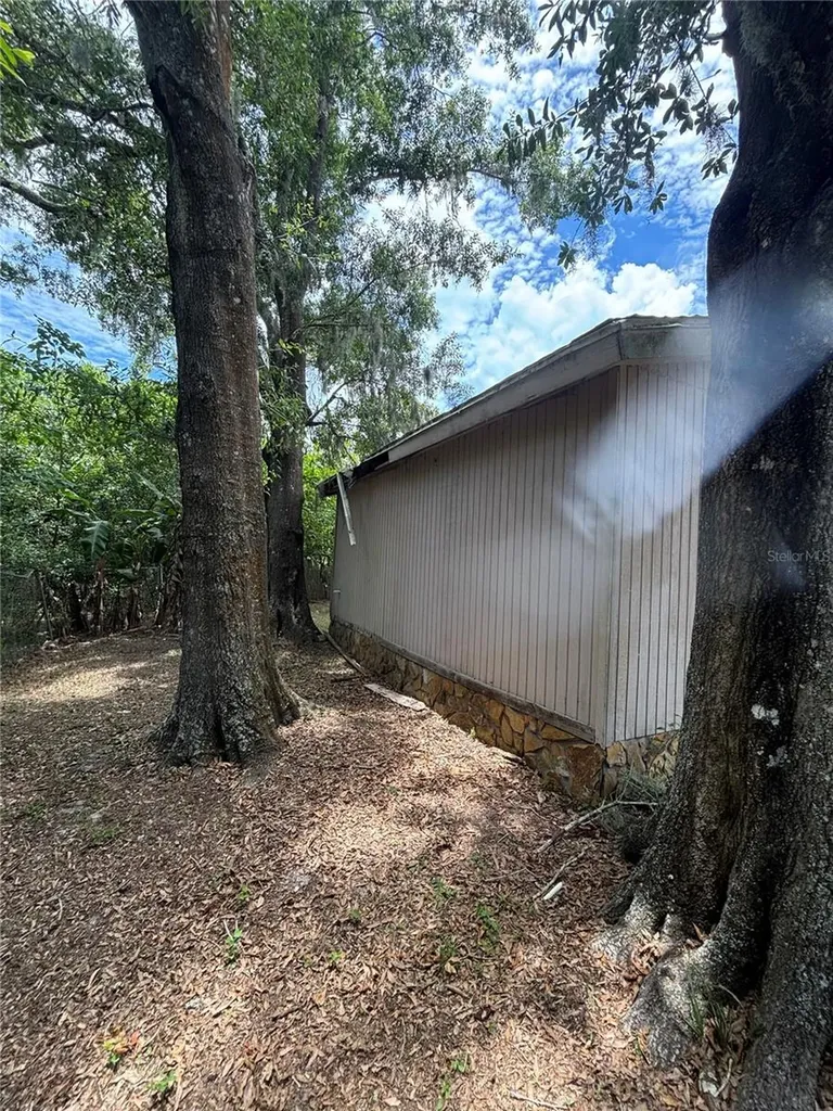 13232 Blissfield Road Odessa FL 33556