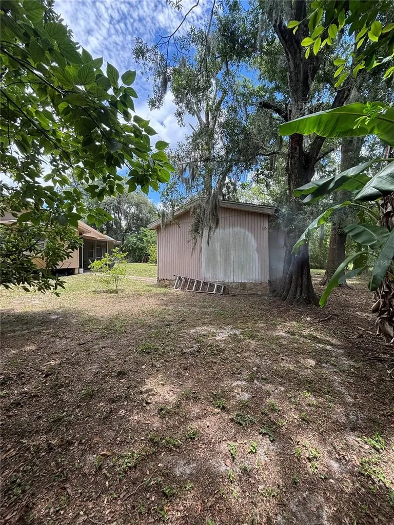13232 Blissfield Road Odessa FL 33556
