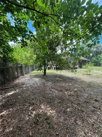 13232 Blissfield Road Odessa FL 33556