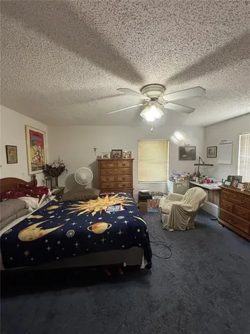 13232 Blissfield Road Odessa FL 33556