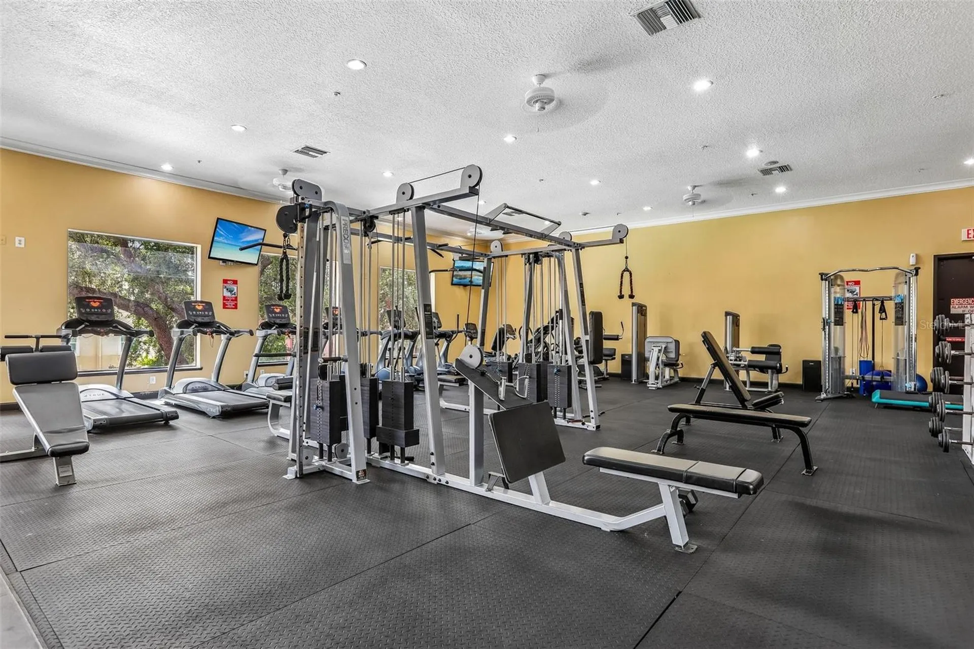 1810 E Palm Avenue Tampa FL 33605