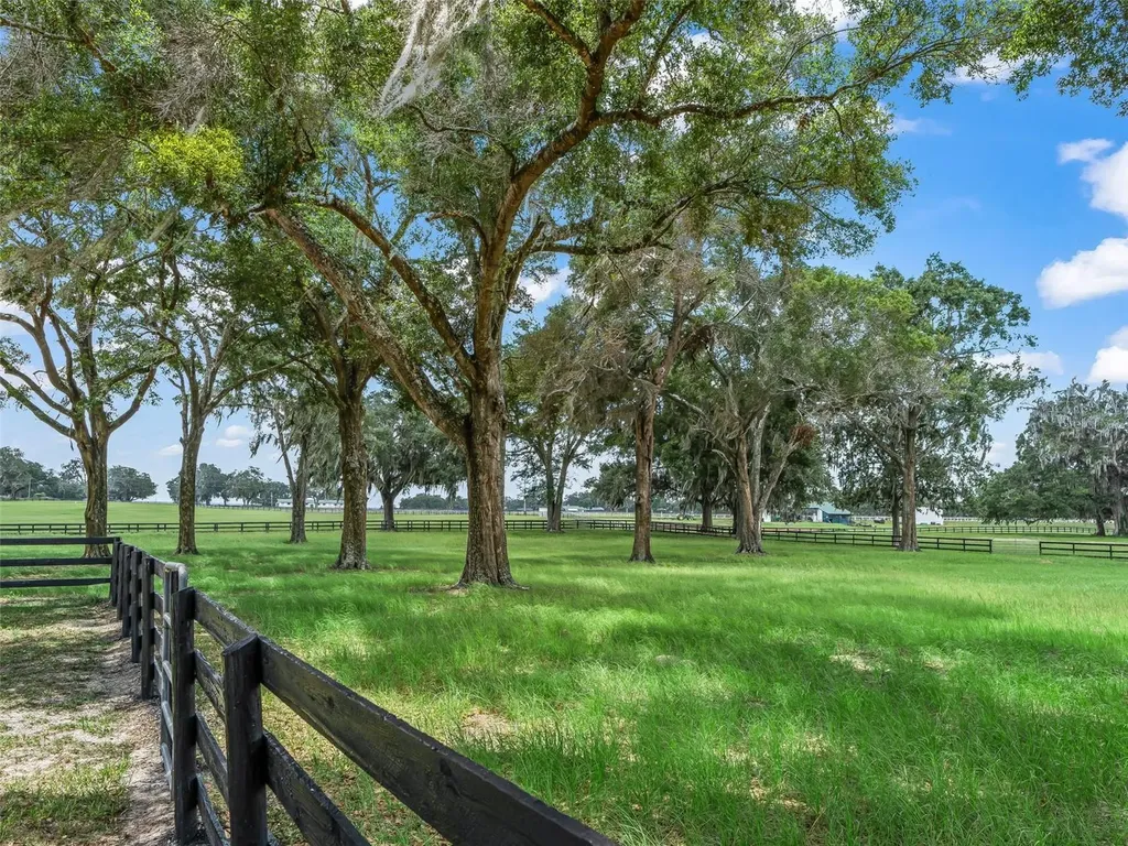 12941 SW 8th Avenue Ocala FL 34473