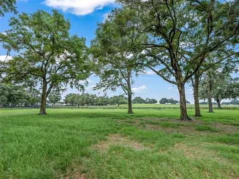 12941 SW 8th Avenue Ocala FL 34473