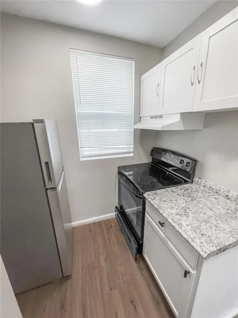 321 W Ianthe Street Tavares FL 32778