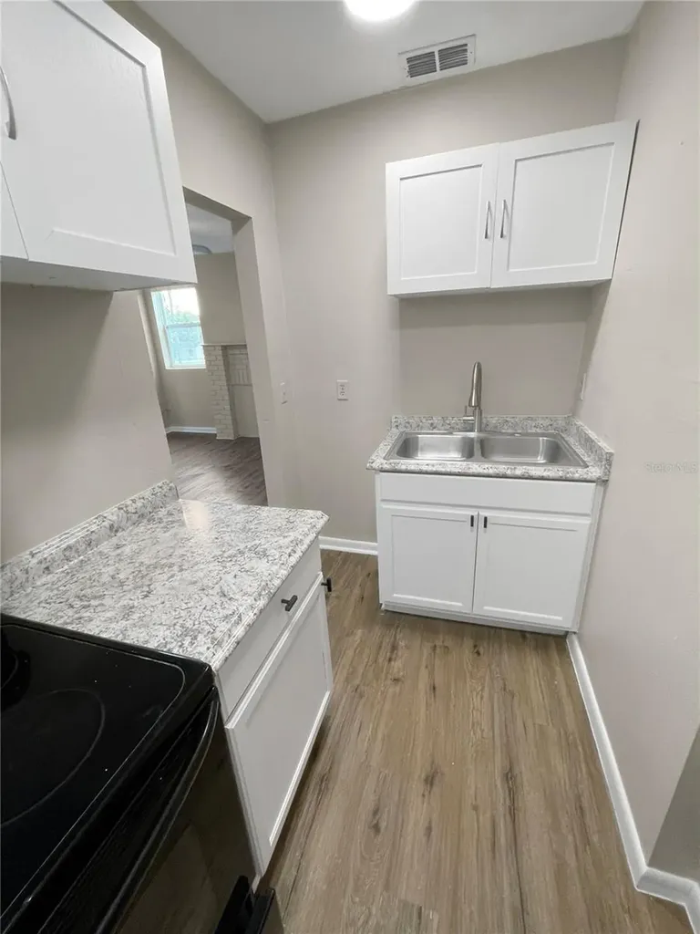 321 W Ianthe Street Tavares FL 32778