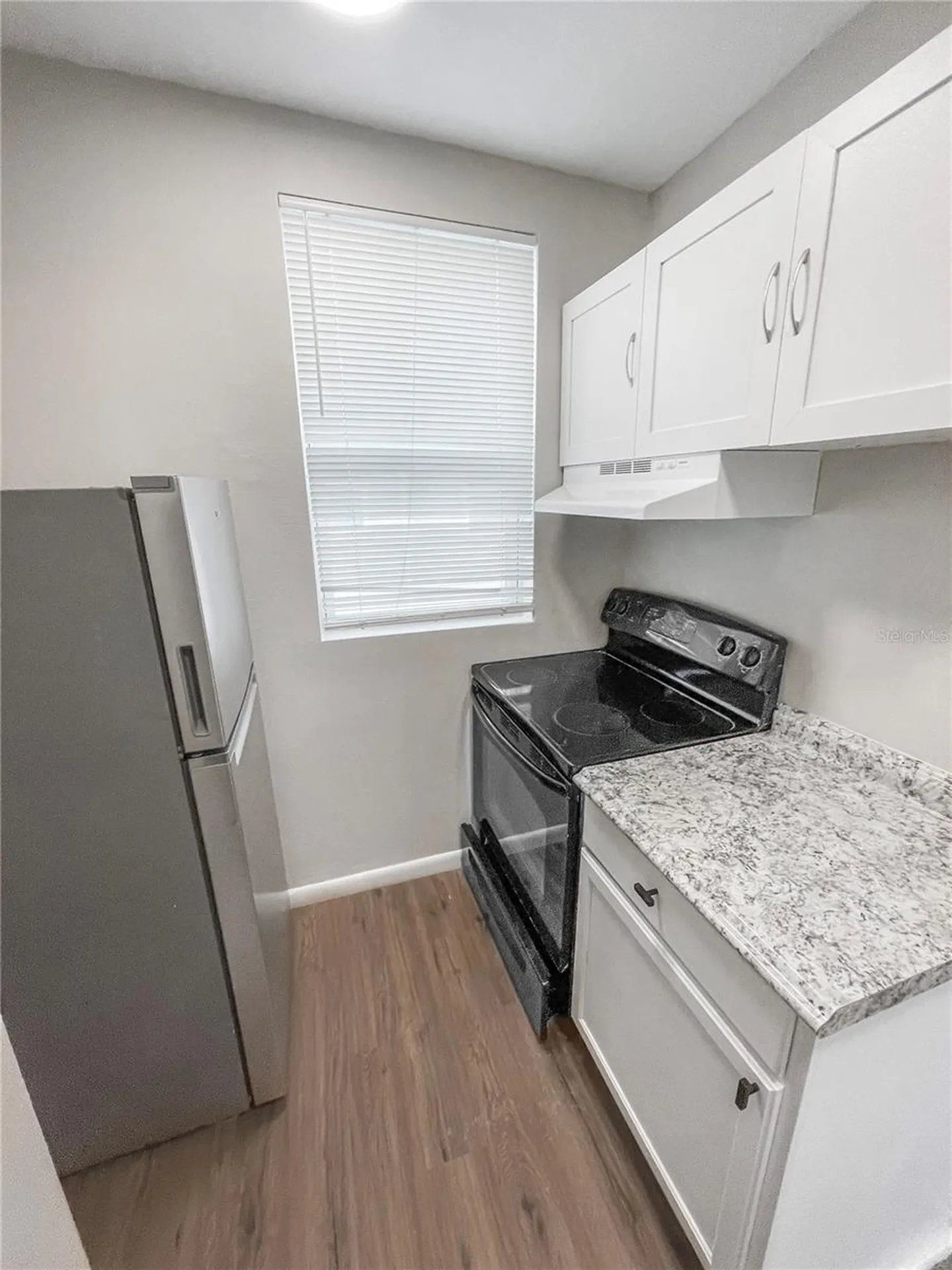 321 W Ianthe Street Tavares FL 32778