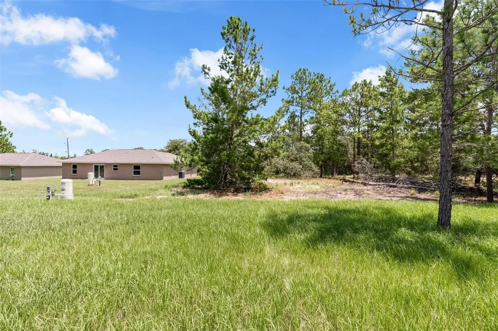 17 Malauka Run Drive Ocklawaha FL 32179