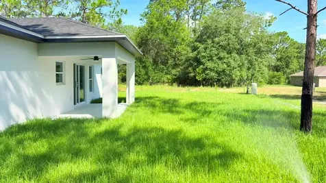 17 Malauka Run Drive Ocklawaha FL 32179