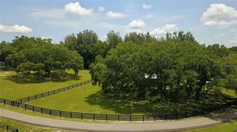 16945 W Phil C Peters Road Winter Garden FL 34787