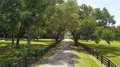 16945 W Phil C Peters Road Winter Garden FL 34787