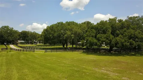 16945 W Phil C Peters Road Winter Garden FL 34787