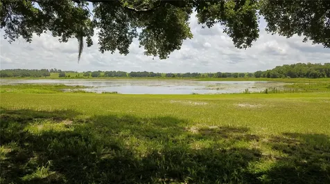 16945 W Phil C Peters Road Winter Garden FL 34787