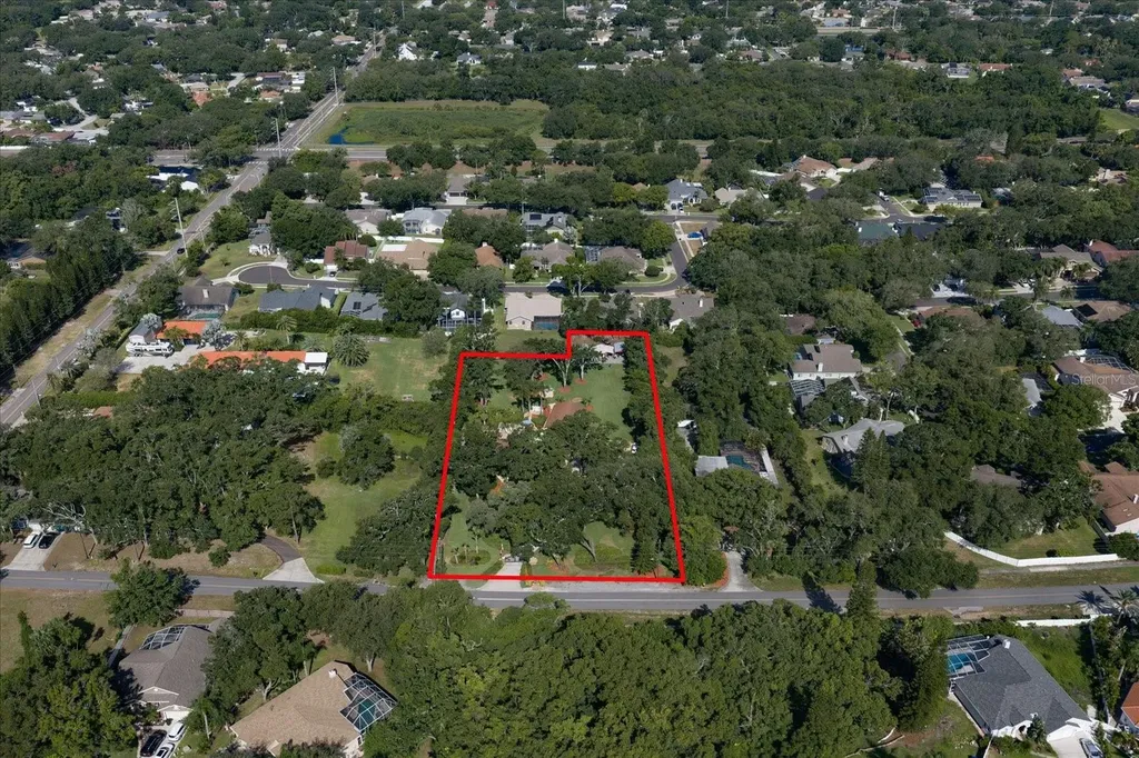 4141 Winding Willow Drive Palm Harbor FL 34683
