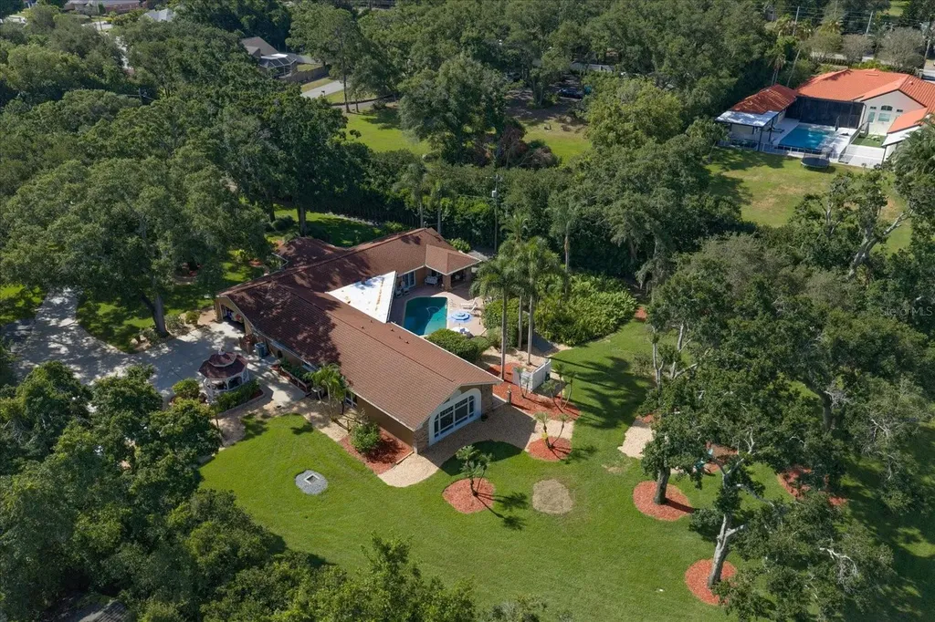 4141 Winding Willow Drive Palm Harbor FL 34683