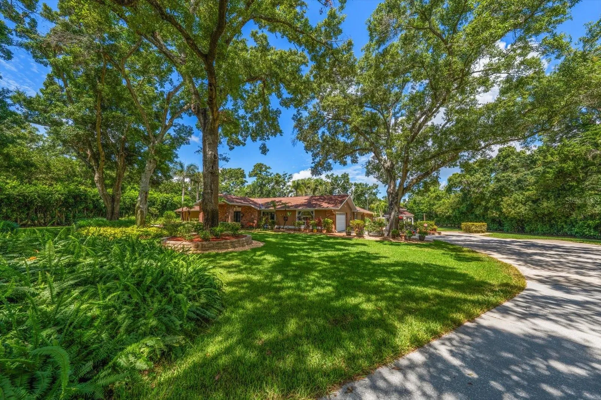 4141 Winding Willow Drive Palm Harbor FL 34683