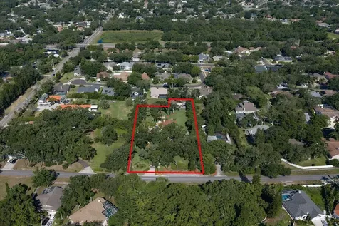 4141 Winding Willow Drive Palm Harbor FL 34683