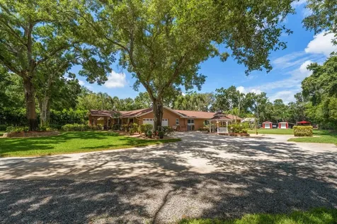 4141 Winding Willow Drive Palm Harbor FL 34683