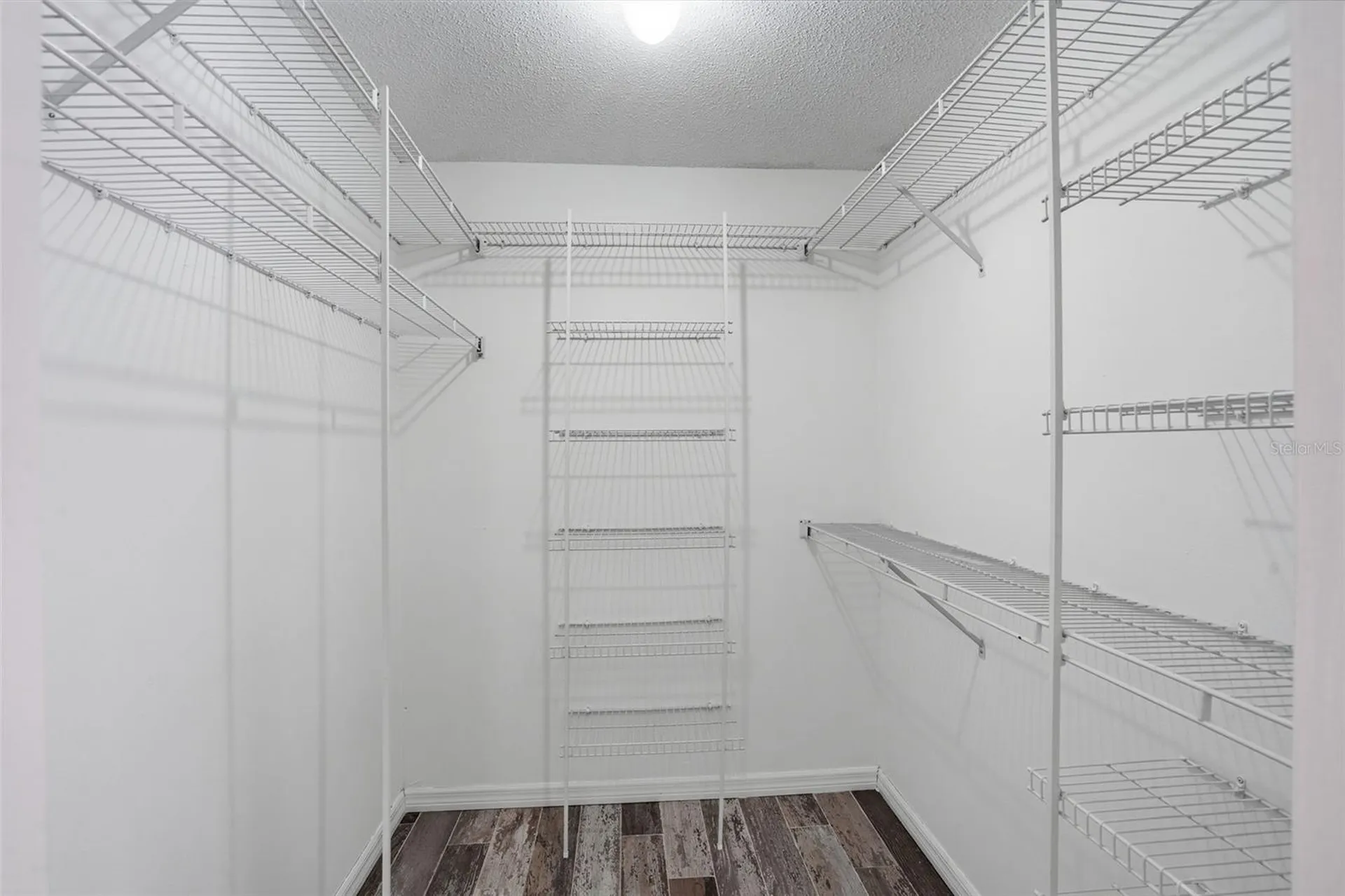 733 Swaying Palm Drive Apopka FL 32712