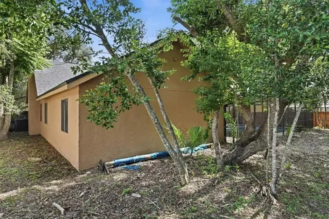 733 Swaying Palm Drive Apopka FL 32712