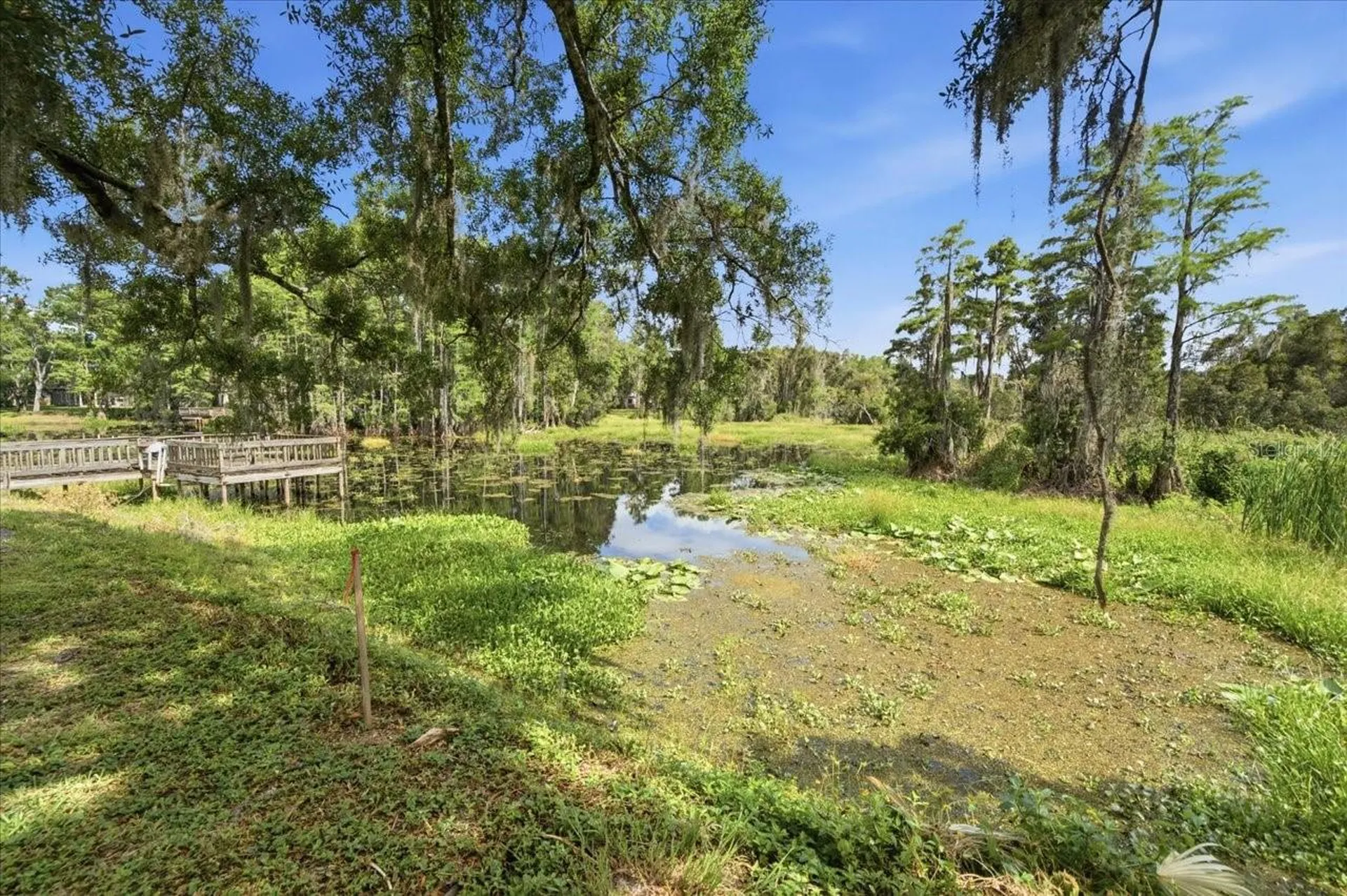 Woods End Court Tampa FL 33618