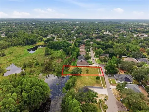 Woods End Court Tampa FL 33618