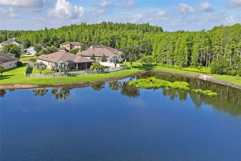 21627 Pearl Crescent Court Land O Lakes FL 34637