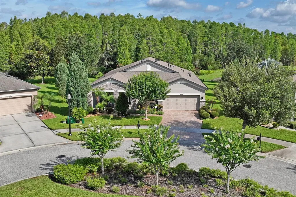 21627 Pearl Crescent Court Land O Lakes FL 34637